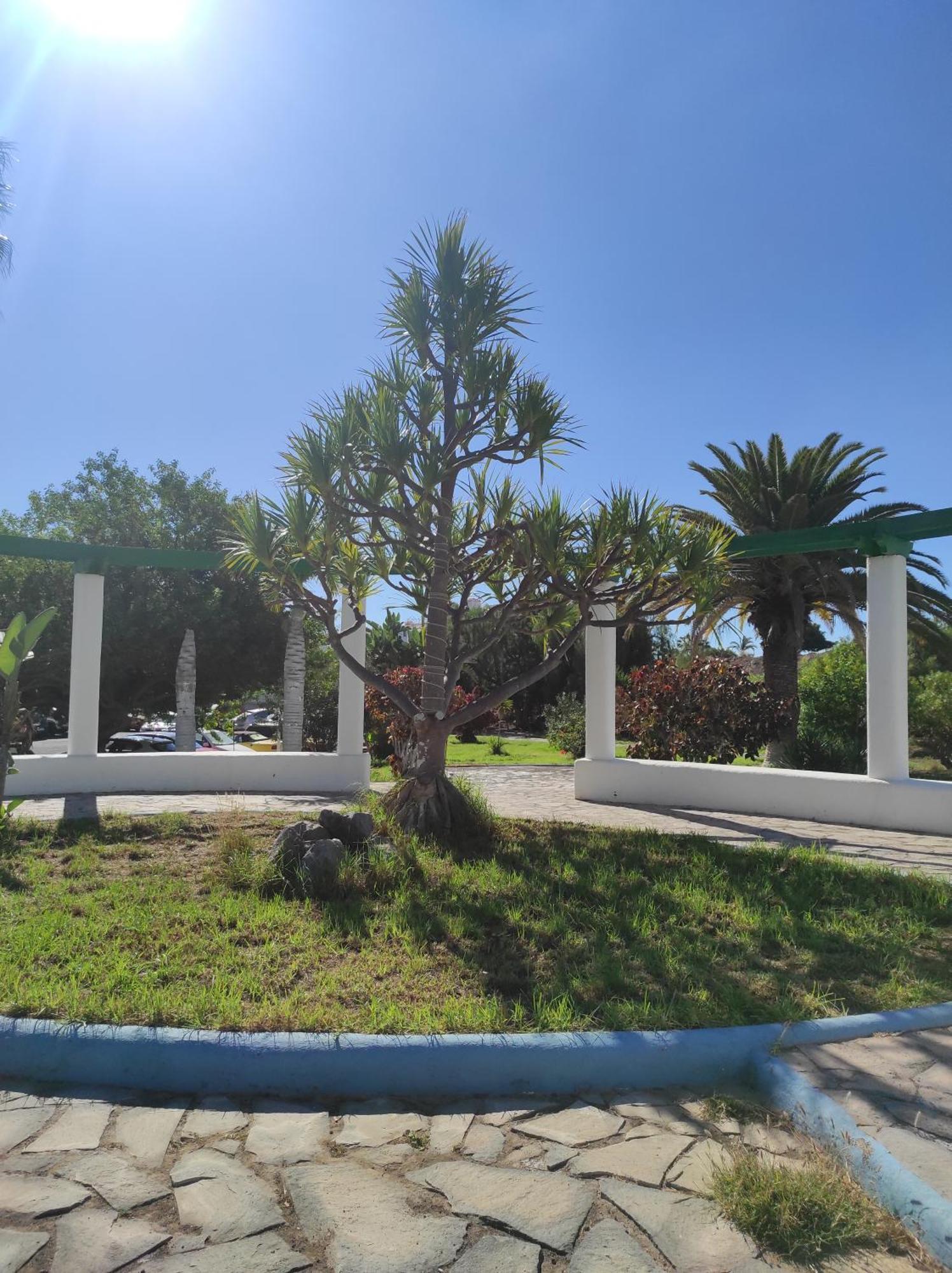 Maria Luxury Apartament Golf Del Sur Tenerife 산미겔데아보나 외부 사진